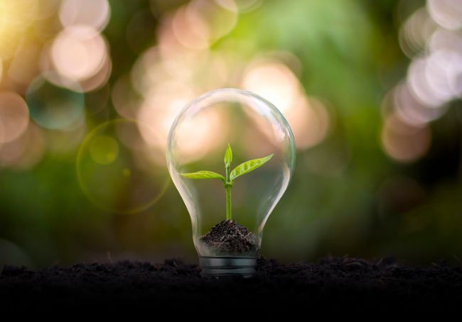 Agricoltura sostenibile