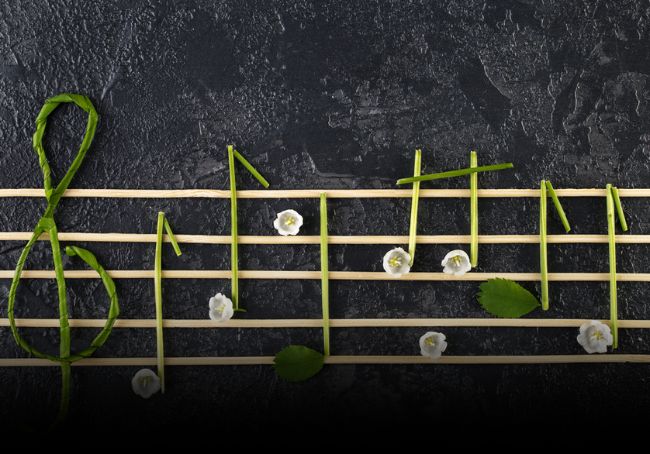 Musica e ambiente