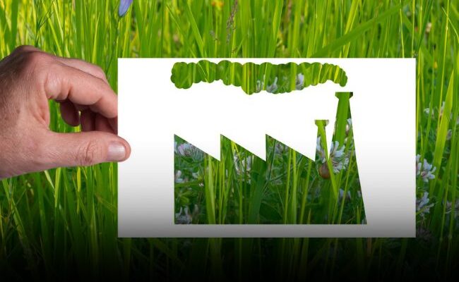 Greenhushing Greenwashing