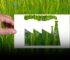 Greenhushing Greenwashing
