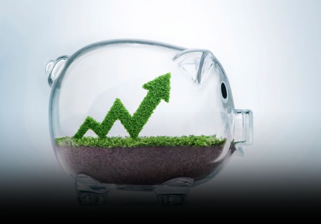 Salvadanaio trasparente