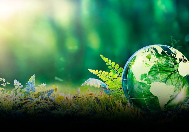 Giornata dell'ambiente