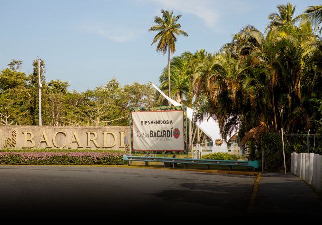 stabilimento bacardi