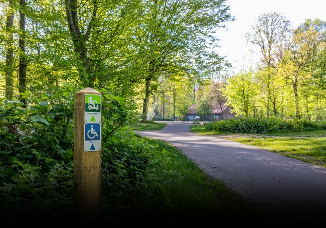 sentiero per disabili