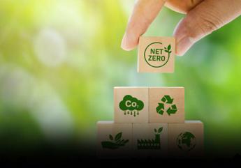 carbon neutral net zero