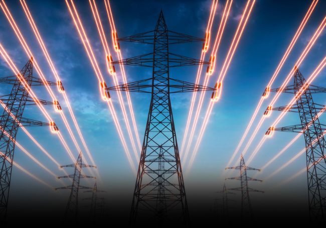 Rete elettrica macse