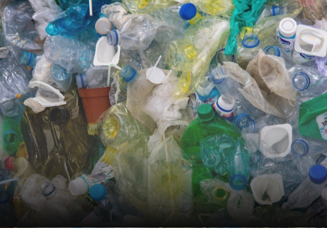 plastic overshoot day