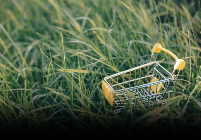 Procurement sostenibile